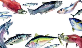 ram av olika färsk hav fisk vattenfärg illustration. vild fisk, tonfisk, lax, sill, ansjovis hand ritade. design element för kokbok, skylt, meny, marknadsföra, förpackning. png