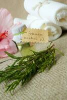 Rosemary essential oil photo