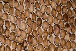 Internal part of pistachios shells. photo