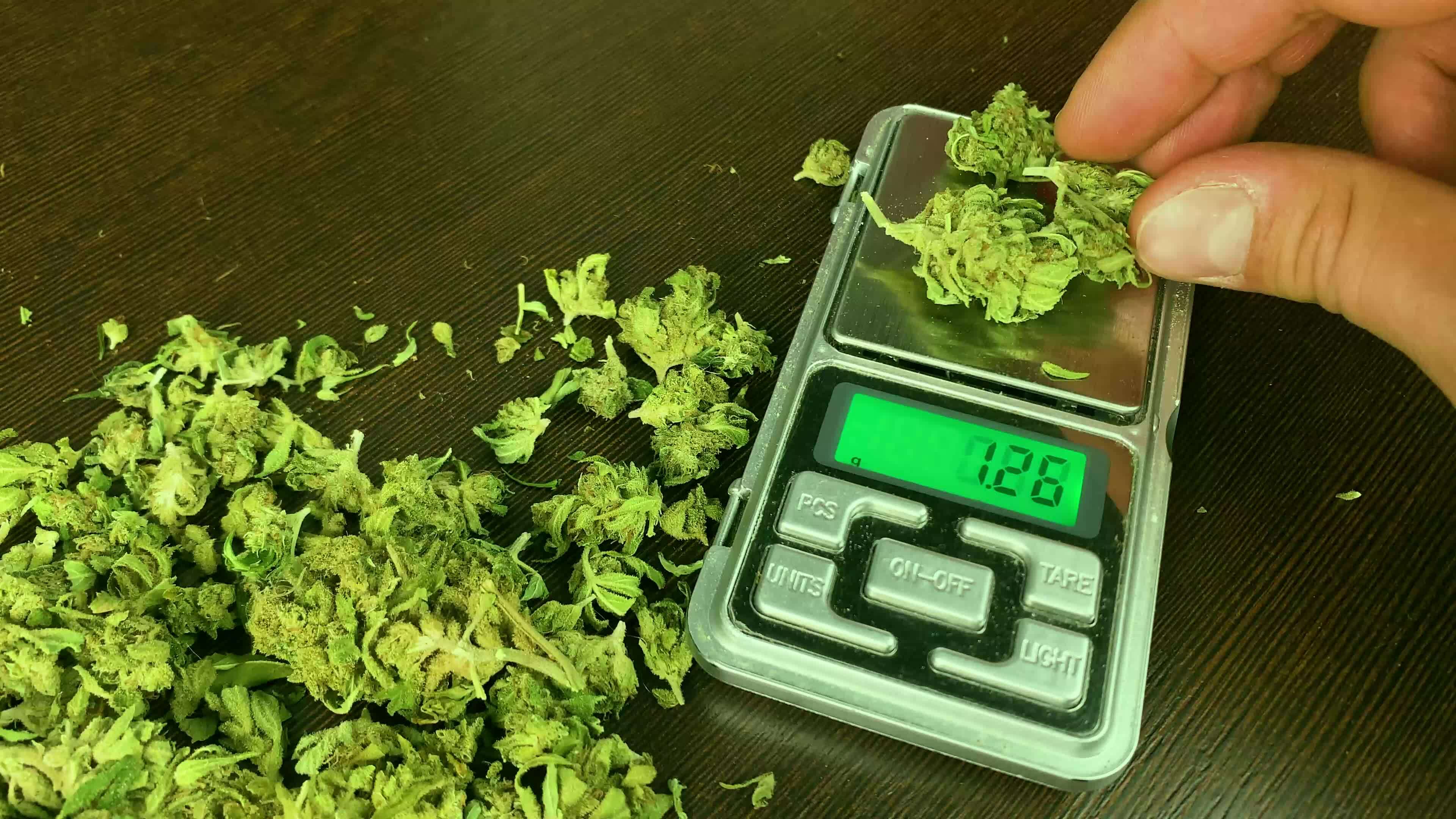Electronic Scale and Buds of Marijuana. Weed on the wooden table and calculator. Pot business