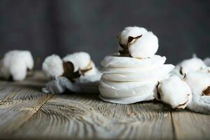 Pile of nursing pad and cotton plant bools in the background. photo