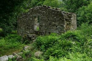 Ruins of traditional stone house  with missing roof surrounded with green vegetation photo