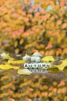 Word AUTUMN is composed of wooden letters. photo