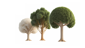 illustration of trees on transparent background, for illustration, digital composition, and architecture visualization. png