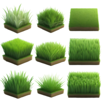 Gras mit transparent Hintergrund. generativ ai png