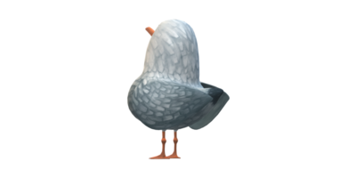 Seagull Isolated on a Transparent Background png