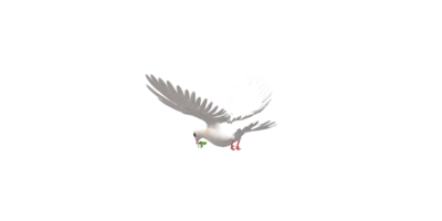 Peace Dove isolated on a Transparent Background png