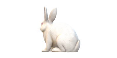 ai generativ Hase isoliert auf ein transparent Hintergrund png