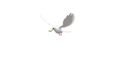 Peace Dove isolated on a Transparent Background png