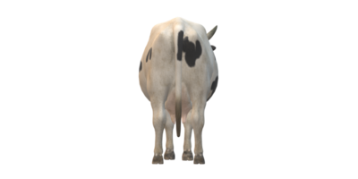 ai génératif vache isolé sur une transparent Contexte png