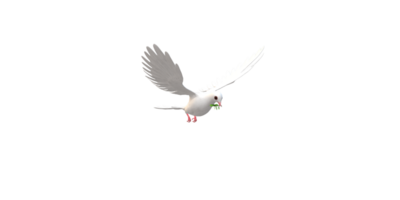 Peace Dove isolated on a Transparent Background png