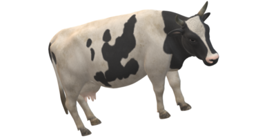 ai génératif vache isolé sur une transparent Contexte png