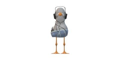 Seagull isolated on a Transparent Background png
