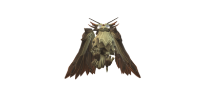 Owl isolated on a Transparent Background png