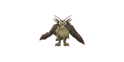 Owl isolated on a Transparent Background png