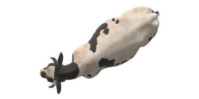 Cow isolated on a Transparent Background png