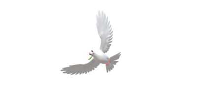 Peace Dove isolated on a Transparent Background png