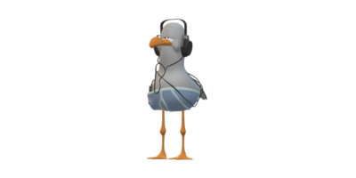 Seagull isolated on a Transparent Background png