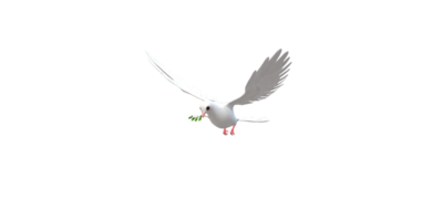 Peace Dove isolated on a Transparent Background png