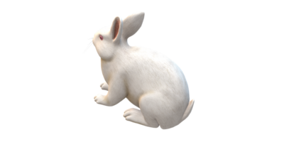 ai génératif lapin isolé sur une transparent Contexte png