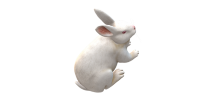 ai génératif lapin isolé sur une transparent Contexte png