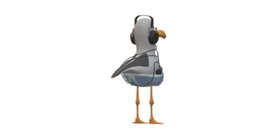 Seagull isolated on a Transparent Background png