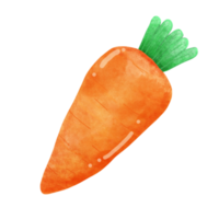 des légumes de carotte, bon nourriture pour en bonne santé. png