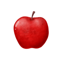 manzana rojo fruta. png