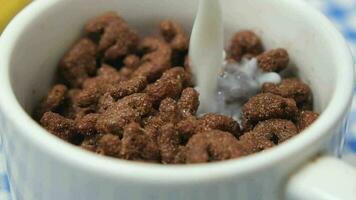 Chocolate corn flakes in a bowl on table video