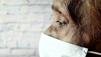 Portrait of an old indian woman wearing a surgical mask video