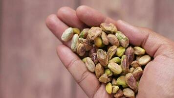 primer plano de la nuez de pistachos en la mano video