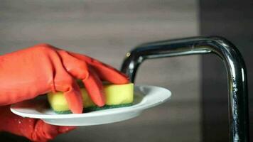 Hand in rubber gloves cleaning a plate with a sponge video