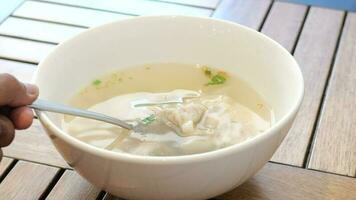 Dumpling Soup in a bowl on table video