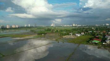 aéreo Visão reflexão do inundar estação às arroz campo às bukit mertajam, penang video