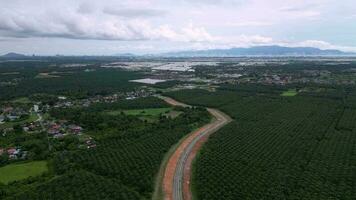 Aerial view new asphalt road at oil palm plantation Bertam, Penang video