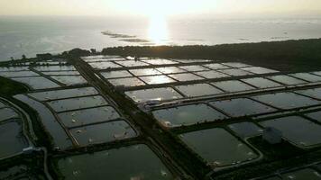 antenne visie aquacultuur vis boerderij nibong tebal, penang gedurende zonsondergang video