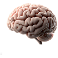 neurociencia y cerebro tecnología humano cerebro ilustración png