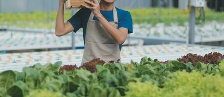 View of an attractive farmer in a greenhouse using tablet photo