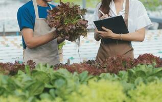 View of an attractive farmer in a greenhouse using tablet photo