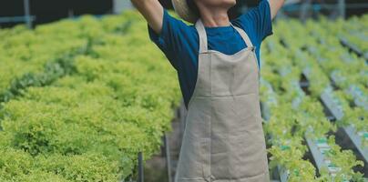 View of an attractive farmer in a greenhouse using tablet photo