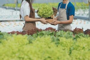 View of an attractive farmer in a greenhouse using tablet photo