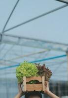 View of an attractive farmer in a greenhouse using tablet photo