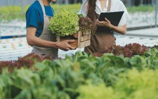 View of an attractive farmer in a greenhouse using tablet photo