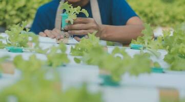 View of an attractive farmer in a greenhouse using tablet photo