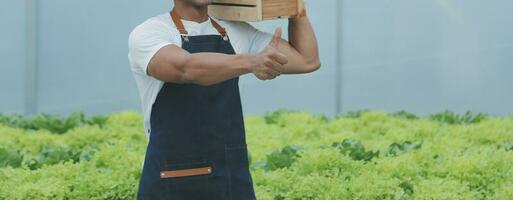 Two Asian farmers inspecting the quality of organic vegetables grown using hydroponics. photo