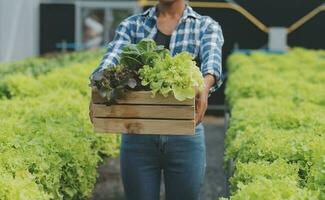 dos asiático agricultores inspeccionando el calidad de orgánico vegetales crecido utilizando hidroponia. foto