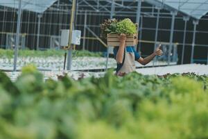 agricultores utilizar vernier calibrador a medida vegetales a pista su crecimiento en planta guardería granja. inteligente agricultura tecnología concepto. foto