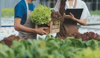 Farmers use vernier calipers to measure vegetables to track their growth in plant nursery farm. Smart agriculture technology concept. photo