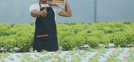 Young Asian woman and senior man farmer working together in organic hydroponic salad vegetable farm. Modern vegetable garden owner using digital tablet inspect quality of lettuce in greenhouse garden. photo