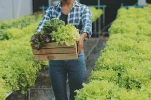 joven asiático mujer y mayor hombre granjero trabajando juntos en orgánico hidropónico ensalada vegetal granja. moderno vegetal jardín propietario utilizando digital tableta inspeccionar calidad de lechuga en invernadero jardín. foto